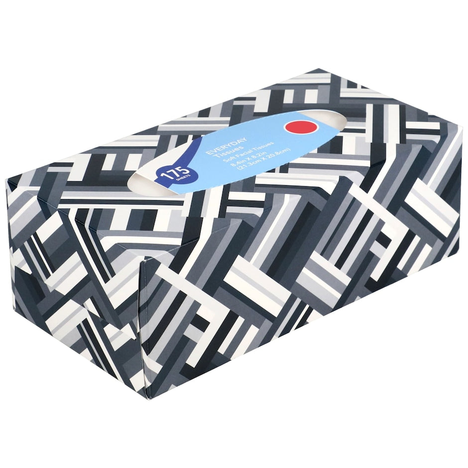 Everyday 2-Ply Facial Tissues, 175-ct. Box (2-Pack) Assorted