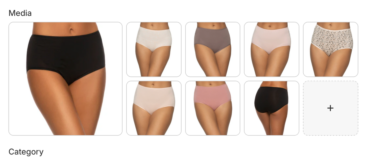 Felina Ladies' Cotton Stretch Brief (8-pack)