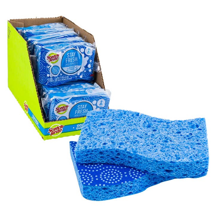Scotch-Brite Stay Fresh Non-Scratch Scrub Sponge (2-Pack)