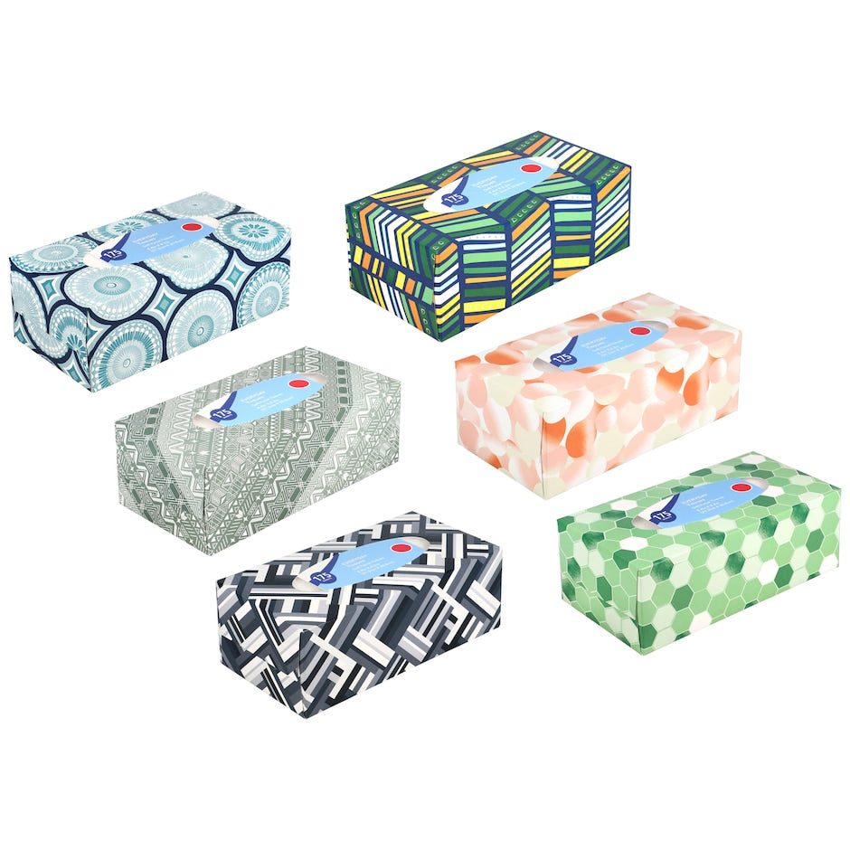 Everyday 2-Ply Facial Tissues, 175-ct. Box (2-Pack) Assorted