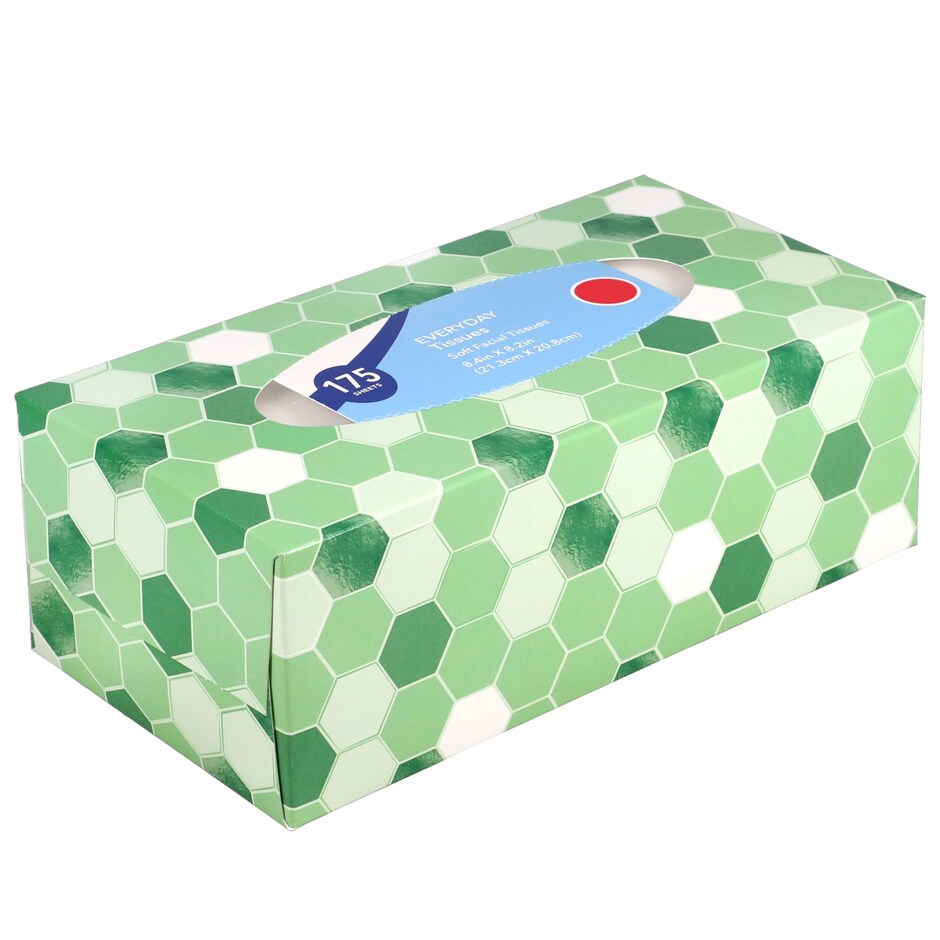 Everyday 2-Ply Facial Tissues, 175-ct. Box (2-Pack) Assorted