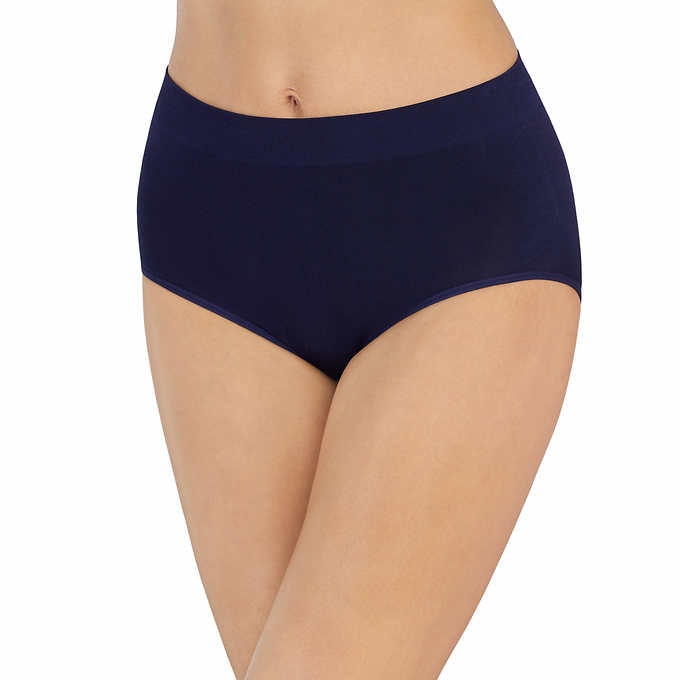 Carole Hochman Ladies' Seamless Brief - Large (Pack of 5) - ADDROS.COM