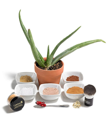 Mehron Makeup Celebre Pro Mineral Powder - Medium/Dark - ADDROS.COM