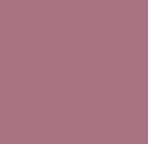 Mirabella Beauty Line and Define Retractable Lip Definers - Flirty