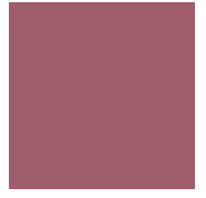 Mirabella Beauty Line and Define Retractable Lip Definers - Sassy