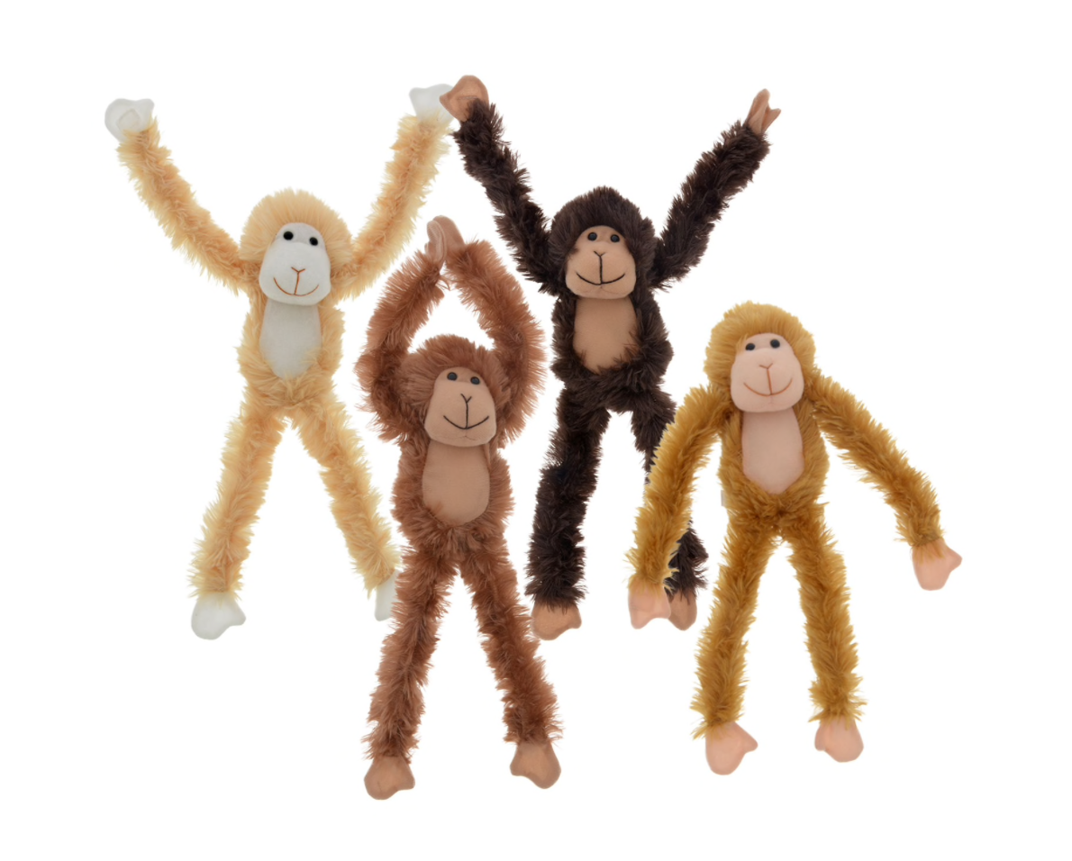 Monkeys