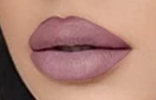 Lip Liner