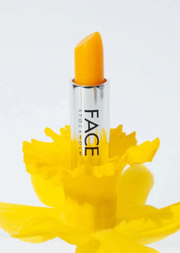 Face Stockholm Lip Treatment Vitamin (C) (3.4g)