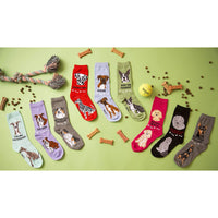 Foozys Women’s Crew Socks | Fun Instruments Musical Notes Socks