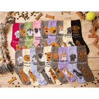 Foozys Unisex Crew Socks Canine Collection (Pug)