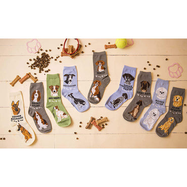 Foozys Unisex Crew Socks Canine Collection (French Bulldog)