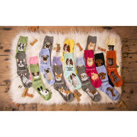 Foozys Unisex Crew Socks Canine Collection (Corgi)