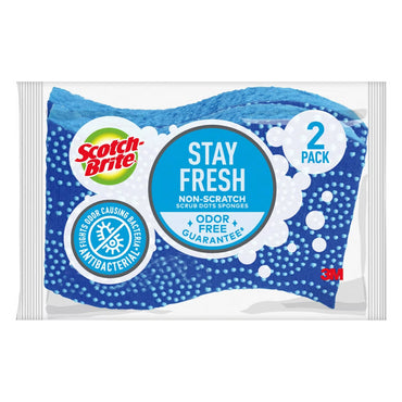 Scotch-Brite Stay Fresh Non-Scratch Scrub Sponge (2-Pack)