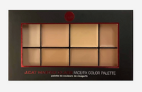 J Cat Beauty Master Class Face/FX Color Palette | Light/Medium (MCP 101)