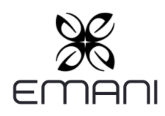 EMANI Vegan Cosmetics Eyeshadow Pallet, (445) Feeling Blessed