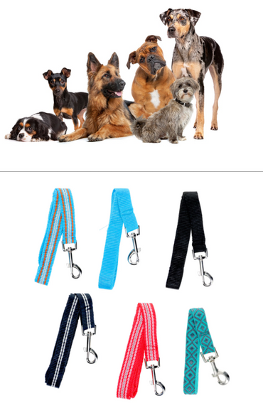 Kennel Club Extra-Large Dog Leashes, 60 in. Assorted (XL)