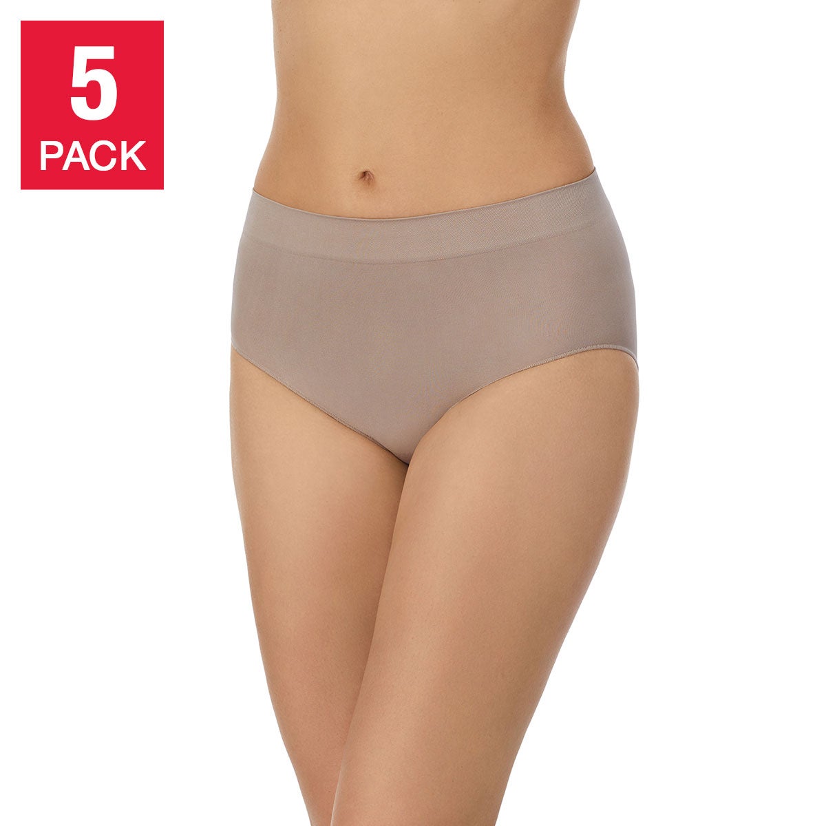 Carole Hochman Ladies' Seamless Brief - Assorted Colors (5-Pack)