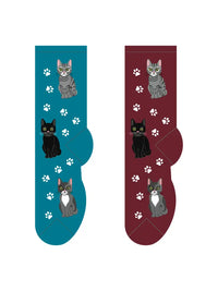 Foozys Women’s Pretty Cats Socks