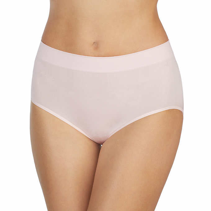 Women's Underwear Classic Nylon Panties Full Cut Carole Briefs, 3