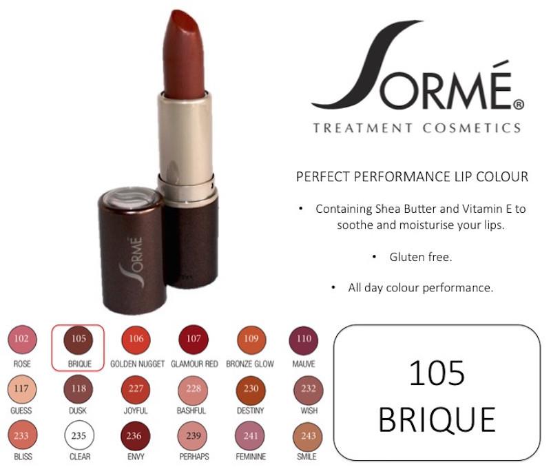 SORME COSMETICS Perfect Performance Lip Color, 105 Brique, 0.14 Oz (4g) - ADDROS.COM