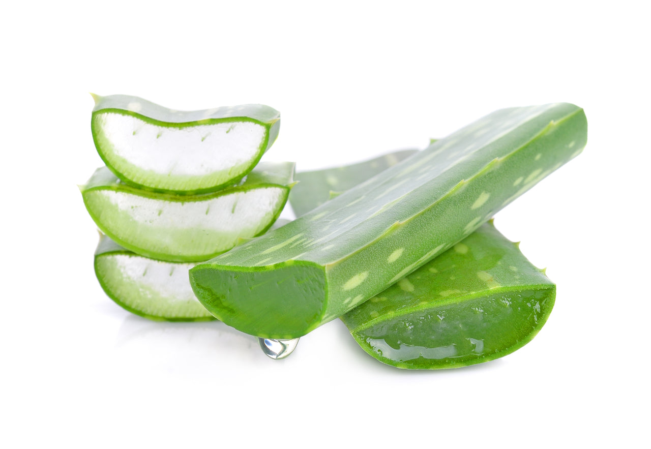 Cala Pro Aloe vera moisturizing & soothing gel jar