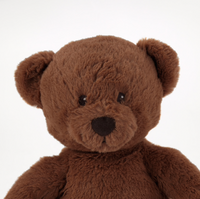 BRUNBJORN Soft Toy, Brown Bear - ADDROS.COM